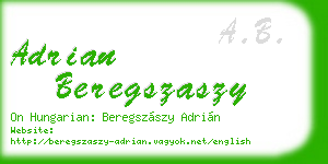 adrian beregszaszy business card