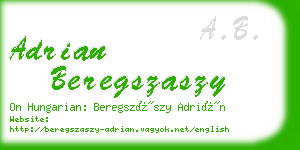 adrian beregszaszy business card
